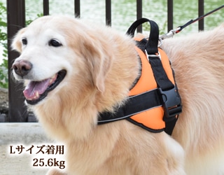 中・大型犬用ハーネス｜首に優しいクッションハーネス サイズL