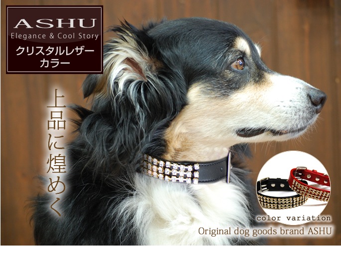 大型犬用首輪｜ASHU　クリスタルレザーカラー　L-ドッグフード 帝塚山ハウンドカム