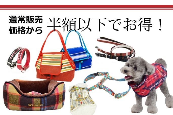 犬用服セット｜新春ペット用品福袋 11000円 【送料無料】 新春福袋
