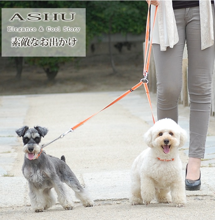 ���᡼������1