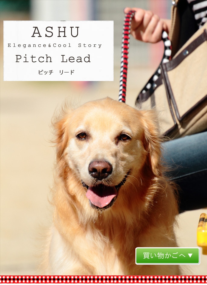 大型犬用リード Ashu ピッチ リード サイズ ｌ ドッグフードの通販 帝塚山ハウンドカム