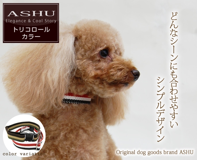 小型犬用首輪｜ASHU トリコロール カラー サイズ S｜ドックフード通販 