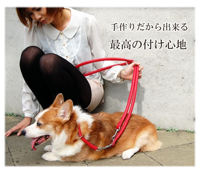 ���եȥ쥶�����硼�����顼L���淿��