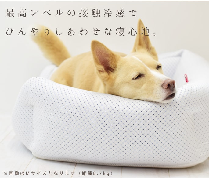 愛犬愛猫用】超クールWラッセルスクエア型ベッド L｜ドックフードの