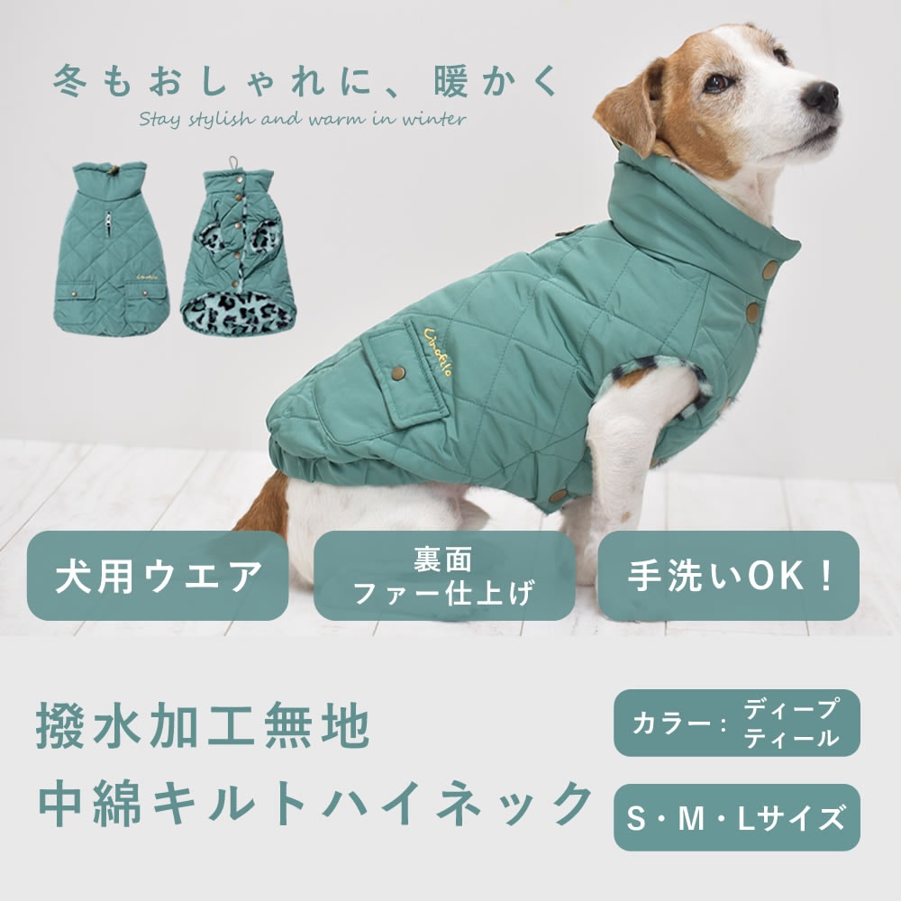 ù̵ʥȥϥͥå ǥץƥ