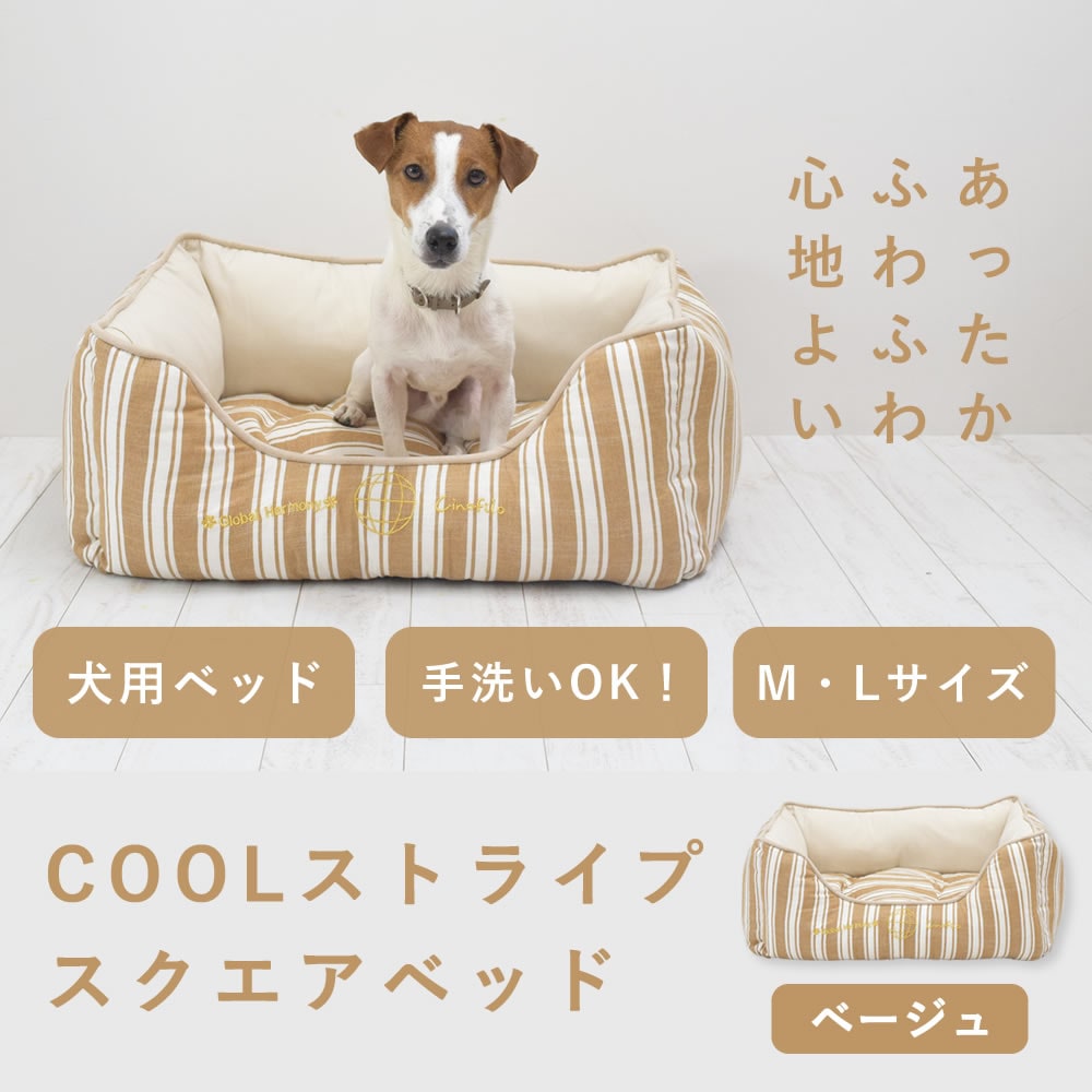 ���ѥ٥å� COOL���ȥ饤�ץ��������٥åɥ١�����