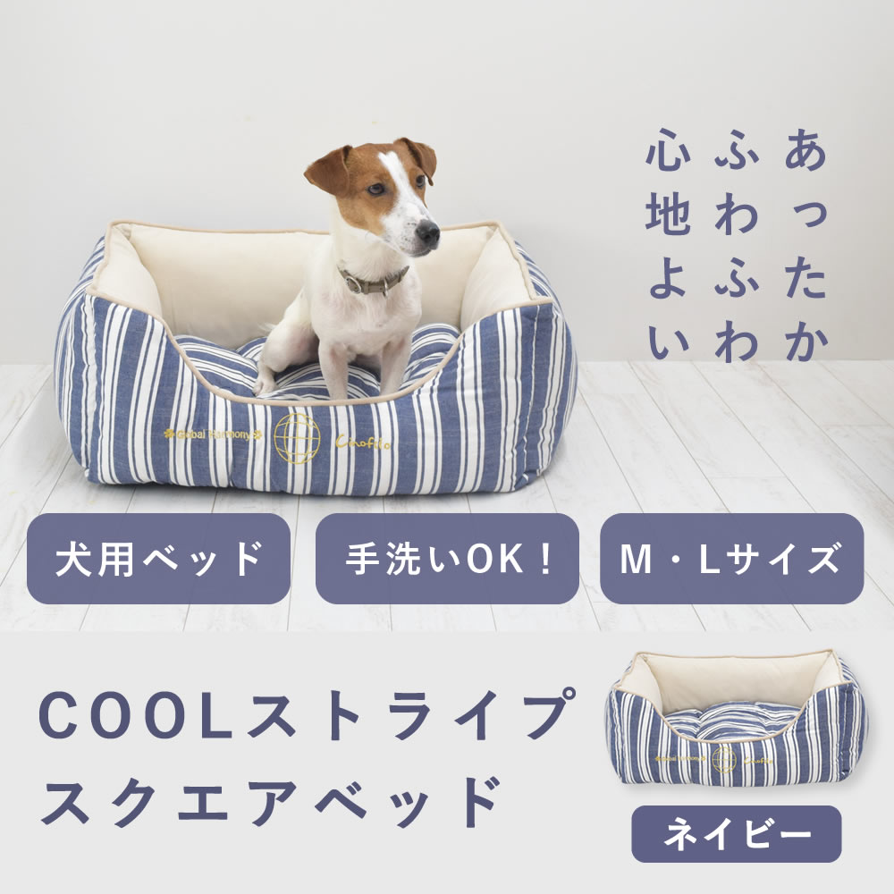 ���ѥ٥å� COOL���ȥ饤�ץ��������٥åɥͥ��ӡ�