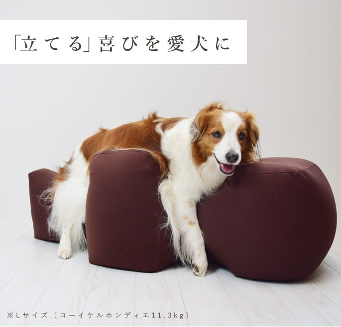 リラクッション　Mサイズ　犬用介護ベッド　床ずれ防止