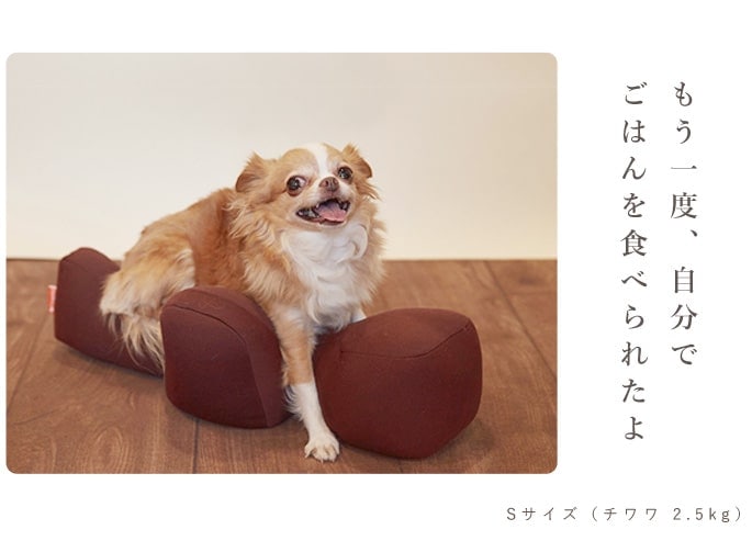 通販・正規取扱店 【愛犬用ベッド】 リラクッション/LL