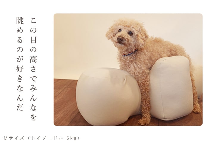 リラクッション　アイボリー　Lサイズ犬用品