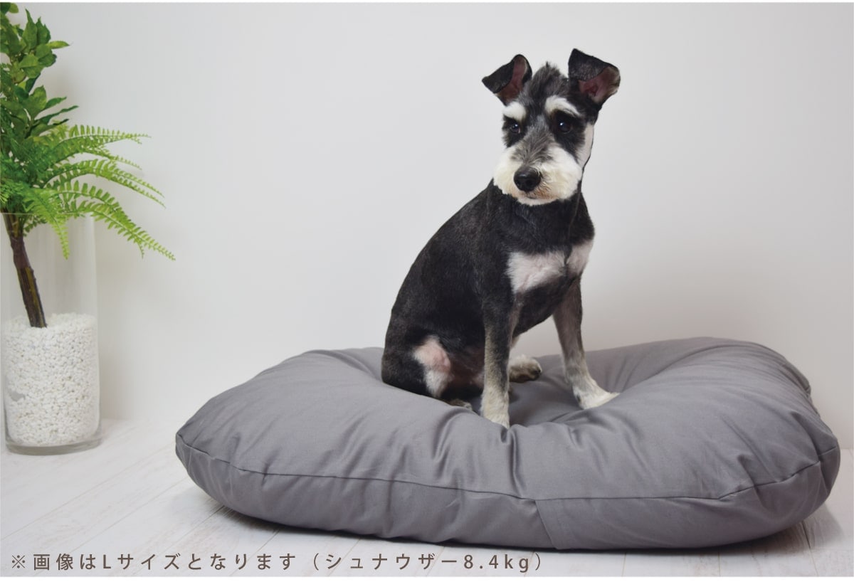 愛犬用】 至福のふかふか夢ふとん L｜ドックフードの通販・帝塚山