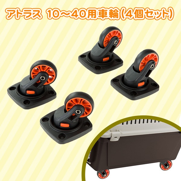 ����꡼���㥹���������ȥ饹10�������ѥ��㥹���������ĥ��å�