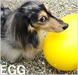 犬用おもちゃ　egge　エッグ