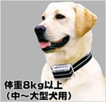 【犬のしつけに】ジェットケア　スタンダード 体重8kg以上に最適