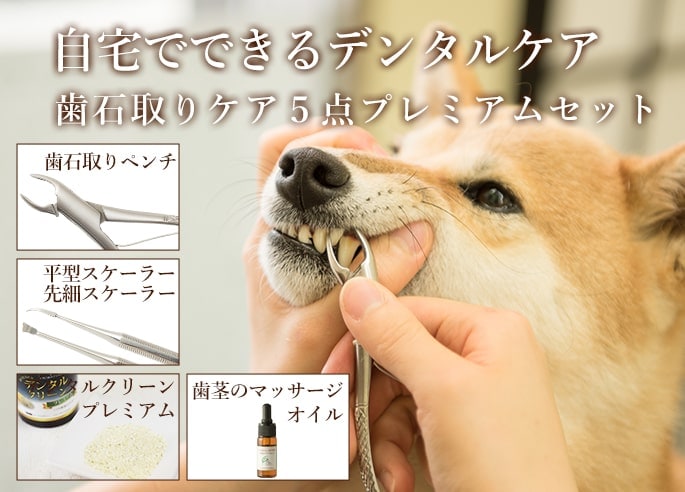 愛犬用歯石取りケア５点プレミアムセット｜ドッグフードの通販・帝塚山ハウンドカム