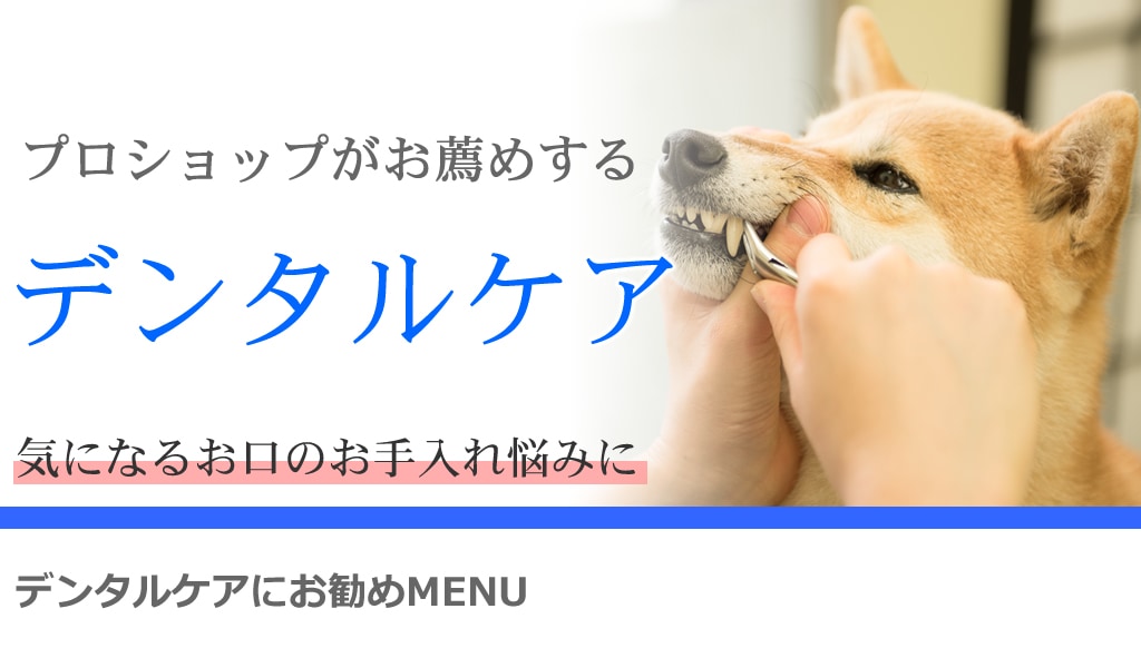 犬の口臭対策 歯みがき特集とデンタルケアアイテムの通販 販売 帝塚山ハウンドカム