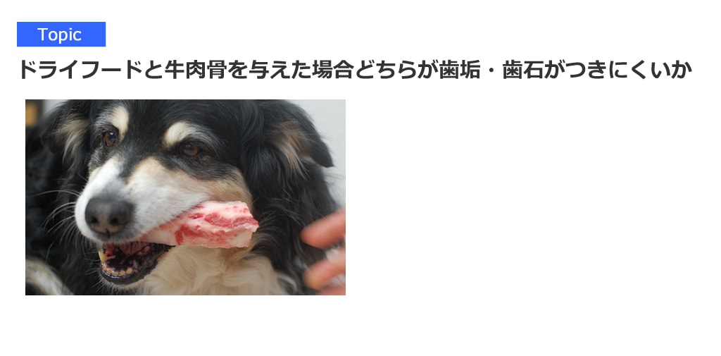 犬の口臭対策 歯みがき特集とデンタルケアアイテムの通販 販売 帝塚山ハウンドカム