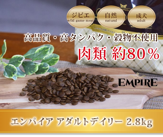 ����ѥ�����������