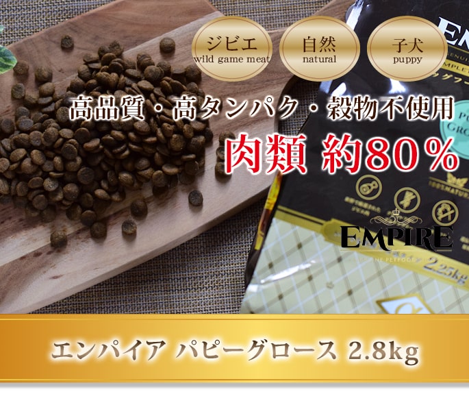 ����ѥ�����������