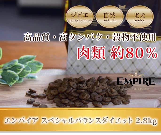 ����ѥ�����������