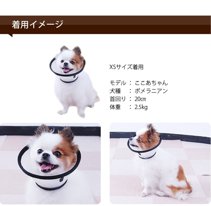 エリザベスカラー（ベットカラー） XSサイズ