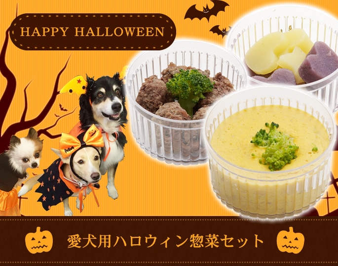 犬用惣菜セット｜ハロウィン惣菜セット