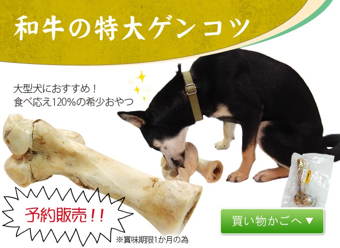 犬用おやつ 和牛の特大ゲンコツ 骨 ドッグフードの通販 帝塚山ハウンドカム