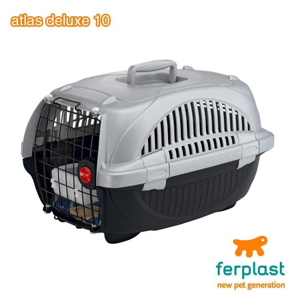 ���ȥ饹DX10���᡼������