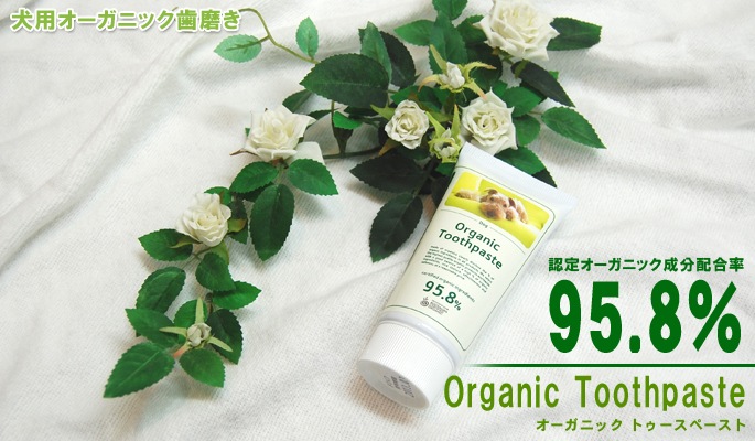 Organic Toothpaste オーガニックトゥースペースト ドッグフードの通販 帝塚山ハウンドカム