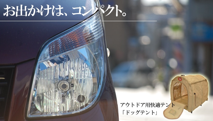 �ɥå��ƥ��