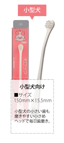 �������������֥饷