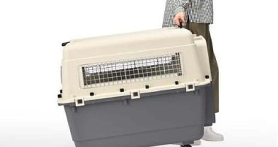 ペットキャリー｜inuneru クレートL80 中型犬用｜ドックフードの通販