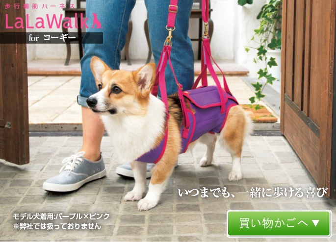 犬用歩行補助ハーネス Lalawalk コーギ用 ボーダーマスタード