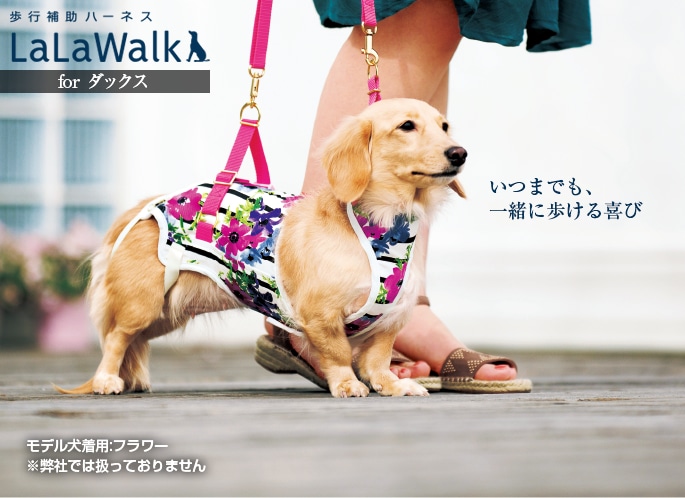 犬用歩行補助ハーネス LaLaWalk ダックス用 サポーターパッド付き