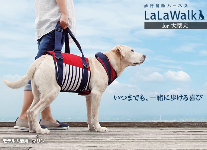 犬用歩行補助ハーネス LaLaWalk 大型犬用 マリン