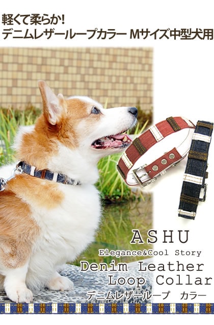中型犬用首輪|ASHU デニムレザーループ カラー サイズ M 中型犬用首輪|ASHU デニムレザーループ カラー サイズ M