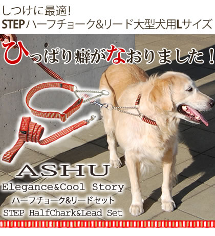 中型犬用ハーフチョーク｜ASHU STEP ステップ ハーフチョーク＆リード