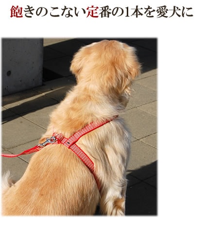 大型犬用ハーネス｜ASHU STEP ステップ ハーネス Ｌサイズ｜ドックフードの通販・帝塚山ハウンドカム