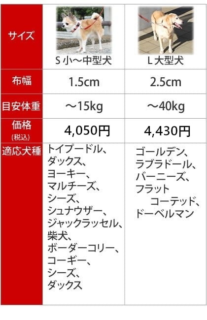 大型犬用リード｜ASHU STEP ステップ リード Lサイズ 中型犬～大型犬