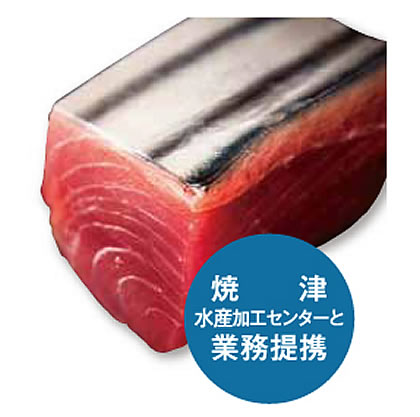 ドットわんカツオ薫り角ステーキ【無添加・自然食ドッグフード】約80g