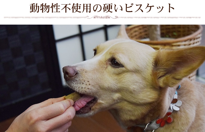 犬 おやつ ガム サプリメント チーズ ドッグチュルピ ドッグフード ペット ペットグッズ 国産北海道 手作り 無添加 犬用品 硬い 長持ち 半額品 チーズ