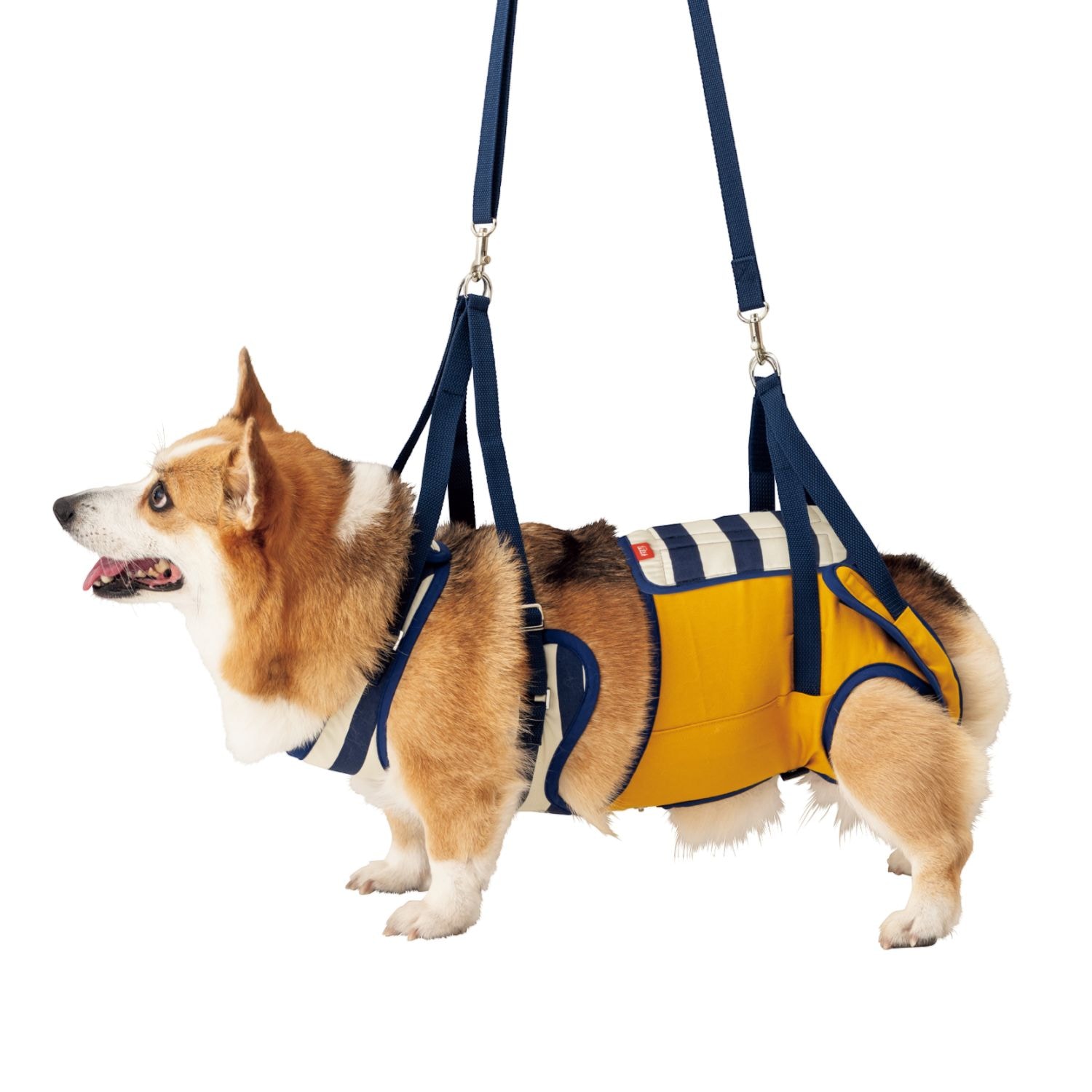犬用歩行補助ハーネス LaLaWalk コーギ用 ボーダーマスタード