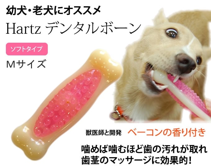 【楽天市場】犬用おもちゃ Hartz デンタルボーン ソフトタイプ SSサイズ：帝塚山ハウンドカム 楽天市場店