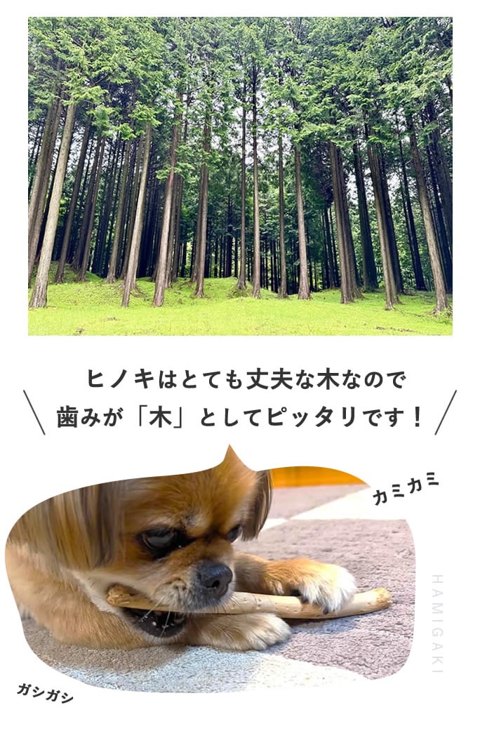 犬用おもちゃ 天然木デンタルダンベル｜ドッグフードの通販・帝塚山