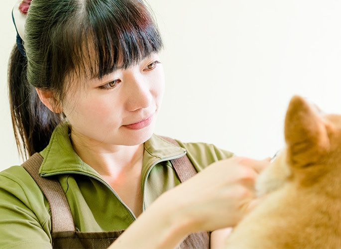 愛犬・愛猫用歯石取りペンチ｜ドッグフードの通販・帝塚山ハウンドカム