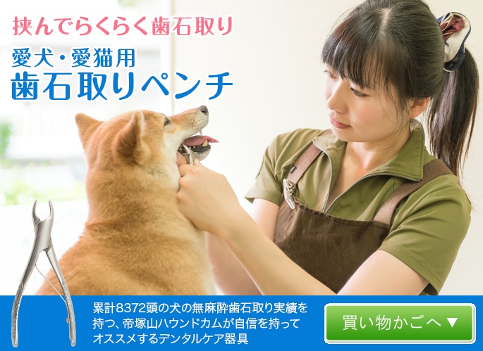 愛犬・愛猫用歯石取りペンチ｜ドッグフードの通販・帝塚山ハウンドカム