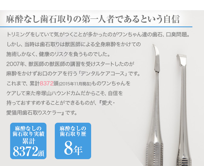 愛犬 愛猫用歯石取りスケラー 帝塚山ハウンドカム