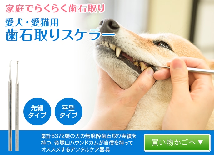 愛犬・愛猫用 歯石取り ペンチ 犬 歯石 デンタルケア ホームケア 猫 プロも愛用