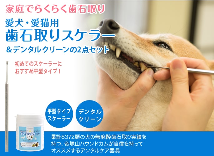 歯石取り&口臭対策スペシャルセット｜ドッグフードの通販・帝塚山 