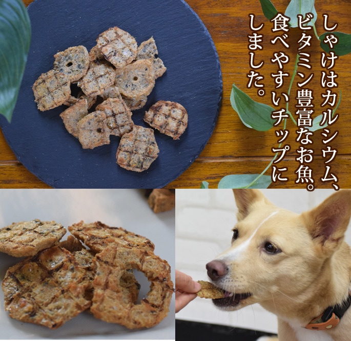 犬用おやつセット｜新鮮なお魚のうまみギッシリ！無添加お魚ジャーキー